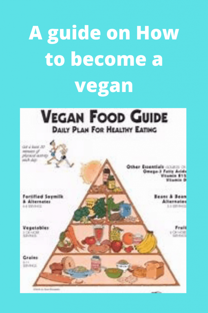 A guide on How to become a vegan