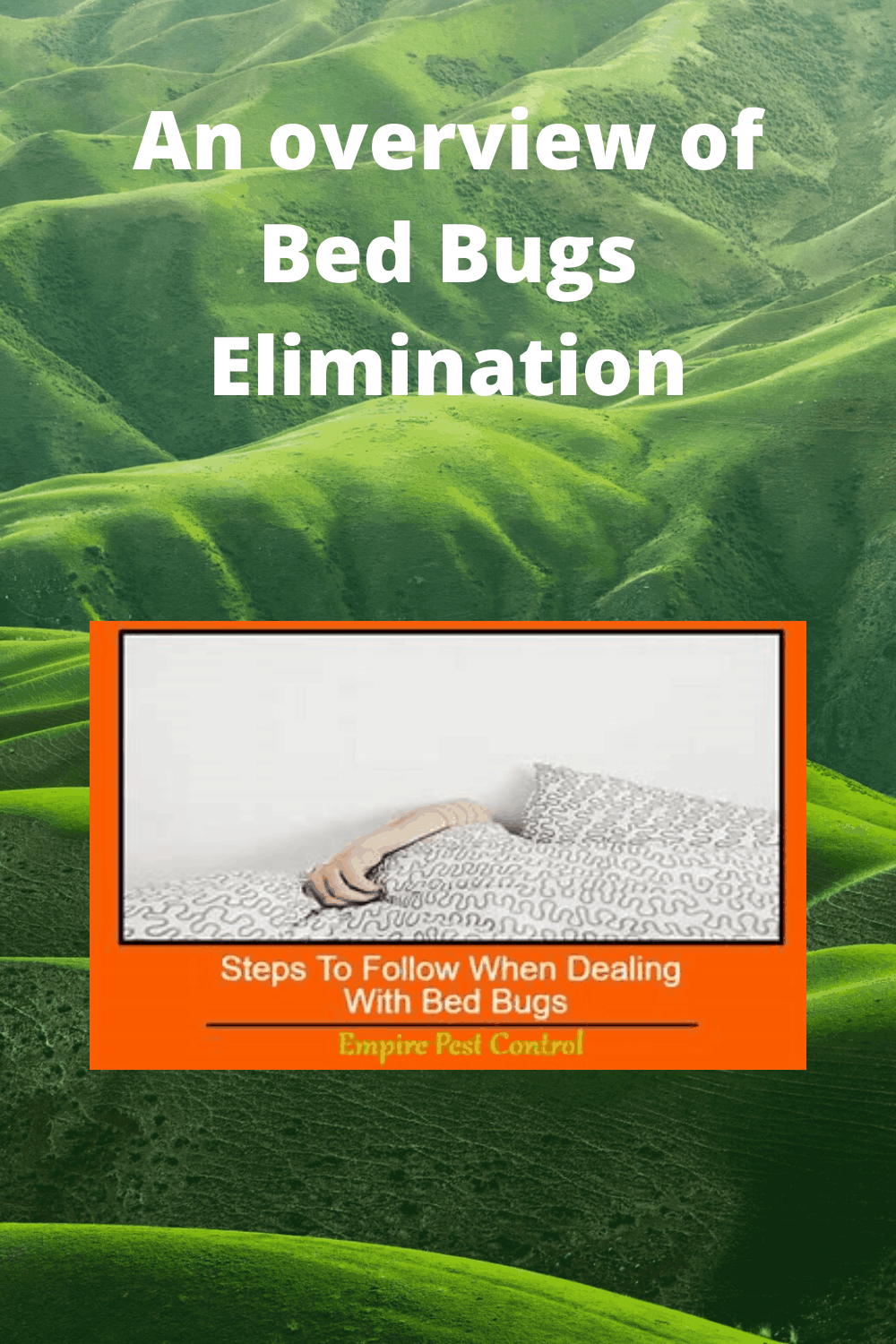An overview of Bed Bugs Elimination How To Do Topics