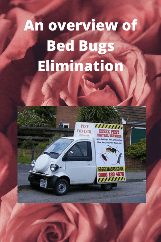 An overview of Bed Bugs Elimination
