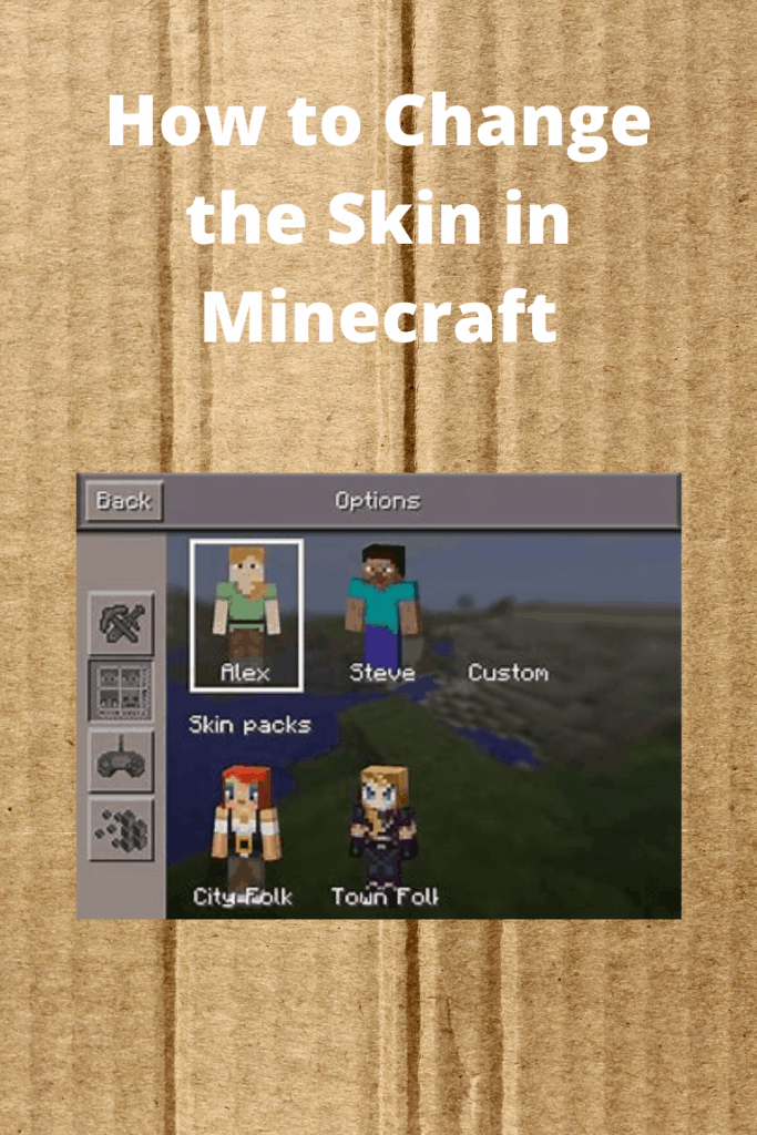 How to Change the Skin in Minecraft