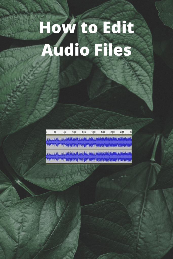 How to Edit Audio Files 1
