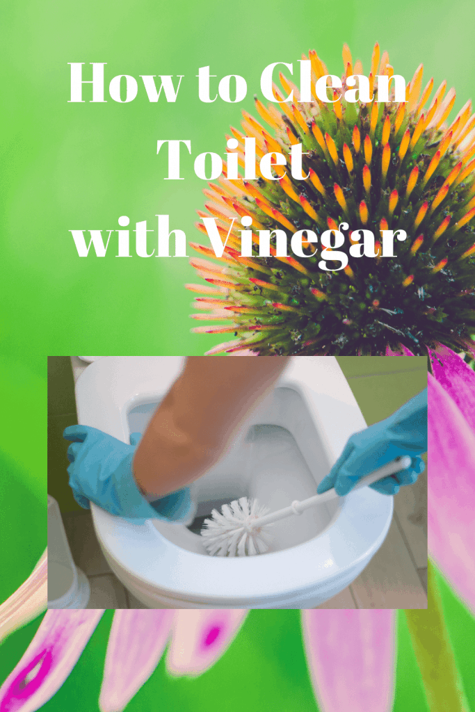 How to Clean Toilet with Vinegar 1