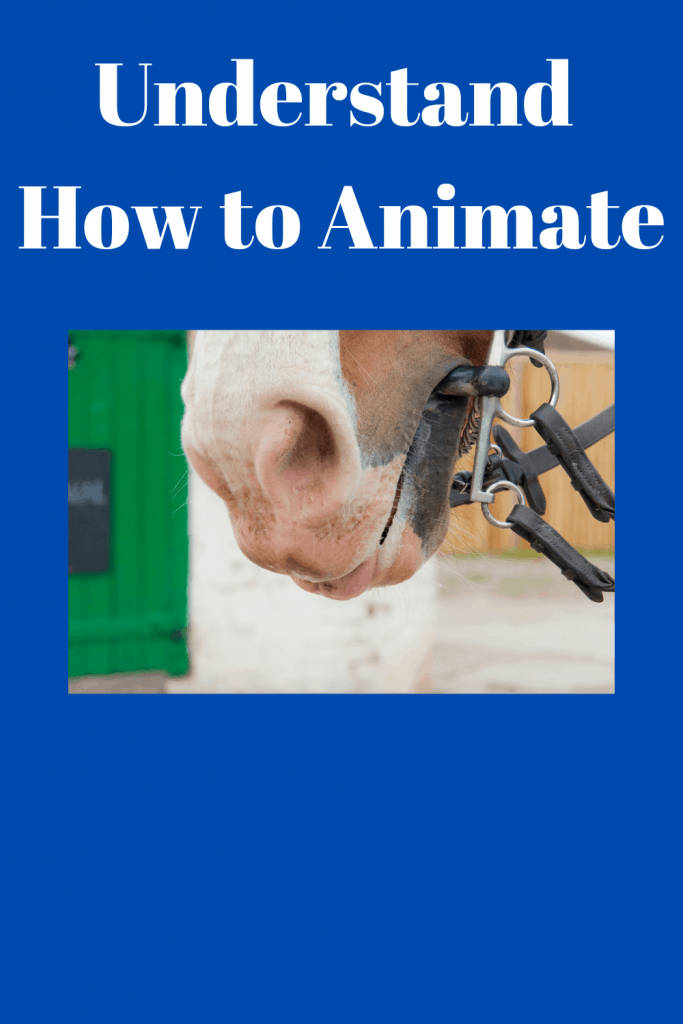 Understand How to Animate 1
