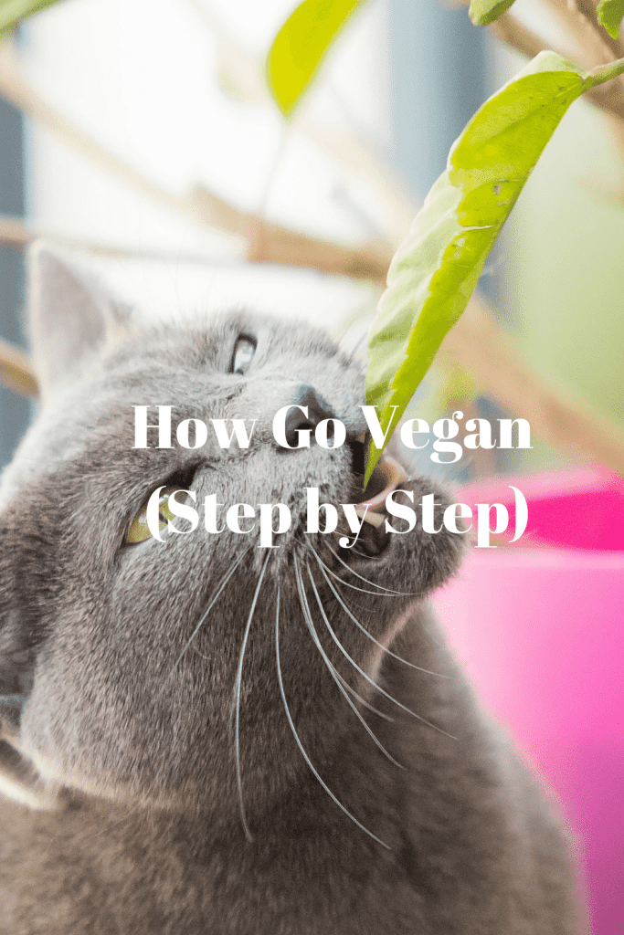 How Go Vegan (Step by Step) 2