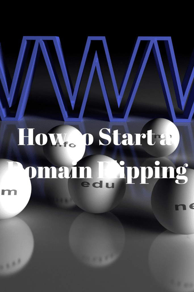 How to Start a Domain Flipping  tips
