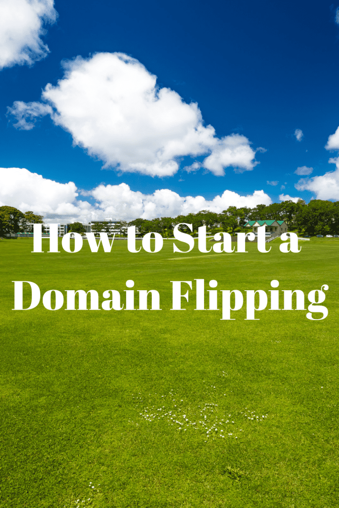 How to Start a Domain Flipping 